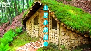 The Bamboo Forest Challenge: 20 Days of Building a Cabin Alone
