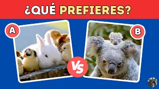 ¿QUÉ PREFIERES? | Animales bebé 🐱🐼