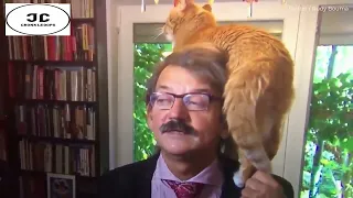 Professors' Cat Interrupts him whilst he's live on TV being Interviewed