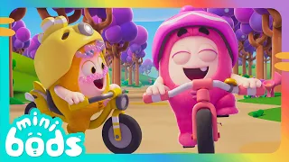 Newt y la aventura en bicicletas 🚲 |🌈 Caricaturas para niños🌈 | Minibods en Español