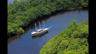 GLOBO REPORTER - AMAZONIA SELVAGEM - HQ - 2010