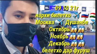 СРОЧНО АЭРОПОРТ ДОМОДЕДОВО 😱😱 09.10.21Г