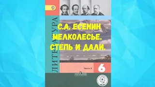 ЛИТЕРАТУРА 6 КЛАСС С.А. ЕСЕНИН МЕЛКОЛЕСЬЕ. СТЕПЬ И ДАЛИ. АУДИО СЛУШАТЬ