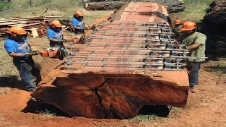 From Lumber Mill To Huge Wooden Boatyard. Sawmilling Big Hardwood Logs & Building Infinity Table