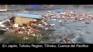 Tsunami en japon en el año 2011