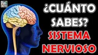 ¿Cuánto Sabes Sobre el "SISTEMA NERVIOSO"? Test/Trivial/Quiz