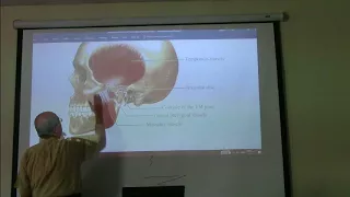 Anatomy of head & neck 26 ( Muscles of mastication , part 1 ) , by Dr. Wahdan