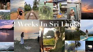Two Weeks in Sri Lanka: Surf, Safari, and Serenity 🌿