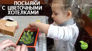 Очередные две посылки- внучка рассказывает, кому нужно ставить лайки)