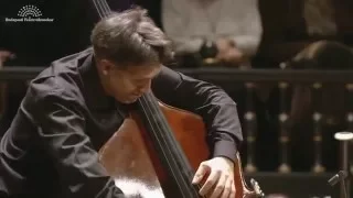 Zsolt Fejérvári plays Vanhal's Bass Concerto