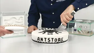 ANTSTORE 20th anniversary - development of the ant shop