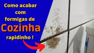 Você não vai acreditar como acabar com formigas na cozinha é tão fácil !