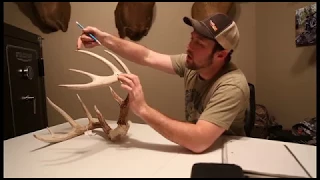 How to score a Whitetail Deer Rack