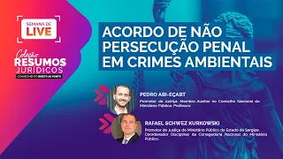 Acordo de Não Persecução Penal em Crimes Ambientais - Com Pedro Abi Eçab e Rafael Schwez Kurkowski