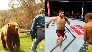 KHABIB Fighting Like a BEAR Comparison