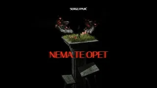 SERGEJ PAJIC - NEMA TE OPET (Official Visualizer)