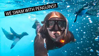 Where else can you do this? | Galapagos Islands