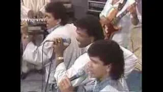 WILFRIDO VARGAS (video 80's) - El Jardinero