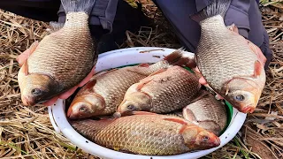 КРУПНЫЙ КАРАСЬ И САЗАН! БЕШЕНЫЙ КЛЕВ КАРАСЯ ВЕСНОЙ! РЫБАЛКА НА КАРАСЯ. ловля карася на боковой кивок