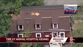 Fire breaks out at Mass. animal hospital, kennel