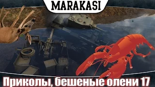 Приколы World of Tanks Бешеные олени и раки, самые неадекватные игроки wot 17