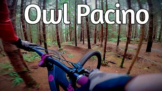 Owl Pacino - Port Gamble MTB