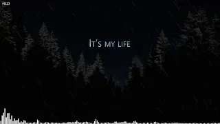 NEFFEX - It's My Life [Lyrics]
