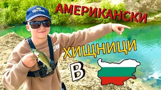 АМЕРИКАНСКИ ХИЩНИЦИ В БЪЛГАРИЯ! РАЗБИВАЩ риболов на БАС с @VenciFishing на примамка за 1,50лв.