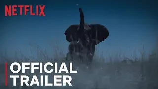 Night on Earth | Official Trailer Teaser HD (2020) | Netflix