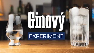 Jak pít správně GIN - s Tonikem, nebo bez?