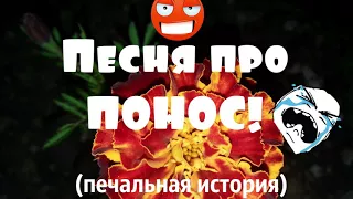 Песня про понос