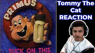 Musician Reacts To Primus - Tommy The Cat