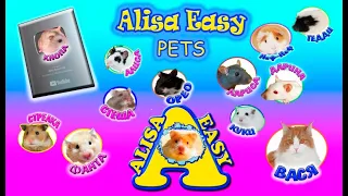 Alisa Easy Pets / ПРЕМЬЕРА 2020 / Канал о хомяках, морских свинках, крысах японских мышках и коте