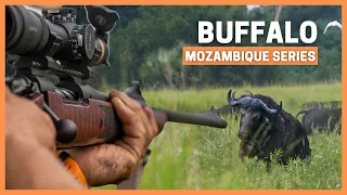 ДВОЙНОЙ ОТЕЦ И СЫН на БУЙВОЛЕ в МОЗАМБИКЕ 💥🐃💥🐃 ОХОТА В АФРИКЕ ОПАСНАЯ ИГРА 💥 [2020.EP17]