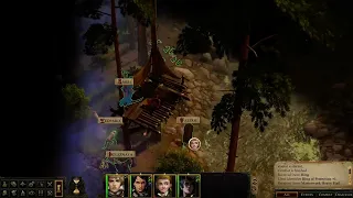 Pathfinder Kingmaker Полезный ванильный Друид 2