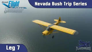 Microsoft Flight Simulator 2020 - Nevada Bush Trip - Leg 7