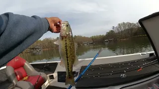 Lake Lanier late March fishing Technique That May Work In Late Summer.