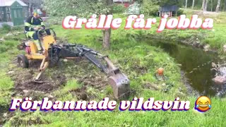 Trädgårdsfix på vårat vis. Grävare, grålle, bäverskadade träd ska ner akut.😀