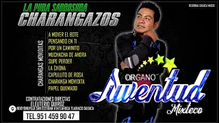 Mega Mix De Charangas/Organo Juventud Mixteco 2022 Lo Mejor De Lo Mejor,Charangazos De Lujo