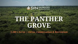 Citrus Grove & Recreational Land For Sale | The Panther Grove | 1,280 Acres | Immokalee, Florida