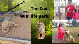 Umm Al Quwain Zoo🐅🐆 | hidden Zoo in Umm Al Quwain| Must visit place in UAE| The Zoo Wild Life park