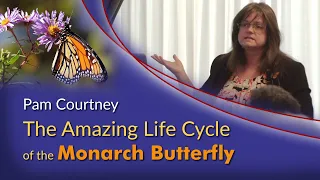 Pam Courtney - The Amazing Life Cycle of the Monarch Butterfly