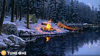 Lakeside Campfire with Relaxing Nature Night Sounds 🔥 for Studying, Relaxation or Sleeping