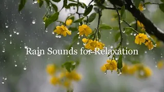 Relaxing Music Rain | Harmony and Relaxing Rain Sounds and Calm Music #rain