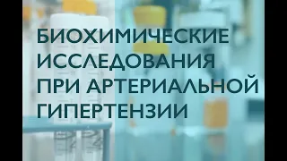 Биохимические исследования при артериальной гипертензии