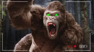 ОХОТА НА БИГФУТА  СТРИМ №1  BIGFOOT