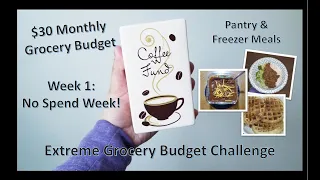 Extreme Grocery Budget / $30 Monthly Grocery Budget Week 1 / Pantry & Freezer Meals/Piggy Bank Meals