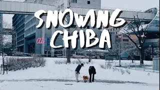 Snowfall in Japan || Central Chiba 2019