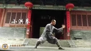 Xiao Hong Quan - Shifu Yan Xiu