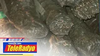Nasa 30 kilo ng hinihinalang marijuana nasabat sa NLEX | Headline Pilipinas (28 June 2023)